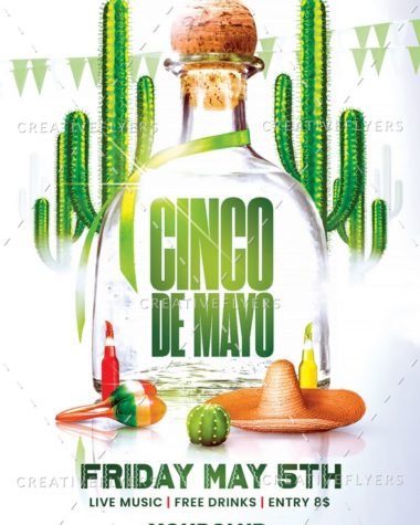 Cinco De Mayo Party Flyer